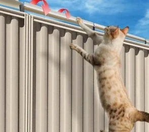 Cat-Barrier-1-1